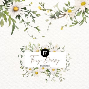 Acquerello Daisy Clipart Fiore da sposa puro Acquerello Daisy Flower PNG Fiore bianco Matrimonio Invito Clipart Acquerello Matrimonio Clipart
