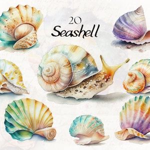 Bundle de cliparts coquillage aquarelle, Clipart coquillages, coquillages océan, coquillage PNG fabrication de cartes, Clipart océan