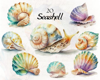 Zestaw akwarelowych muszli clipart, muszla clipart, muszle oceaniczne, muszle PNG tworzenie kart, ocean clipart