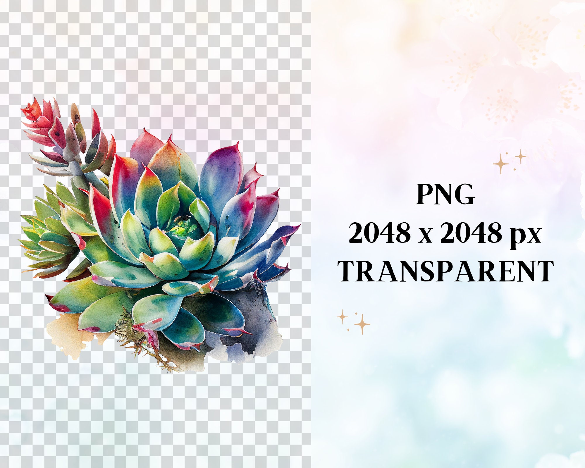 Watercolor Cactus Clipart Bundle Potted Succulent PNG - Etsy