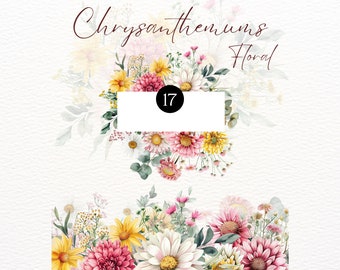 Acuarela primavera crisantemo flores clipart crisantemo ramos boda clipart crisantemo conjunto crisantemos PNG primavera clipart