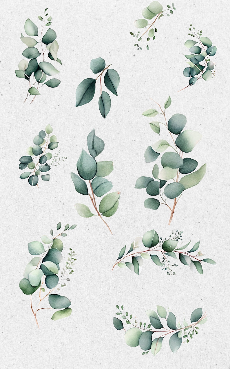 eucalyptus border	eucalyptus clipart	eucalyptus corner	eucalyptus png	floral frame design	foliage wreath png	greenery arrangement	green leaves png	foliage clipart png	greenery wedding	green leaves	greenery frame	greenery invite