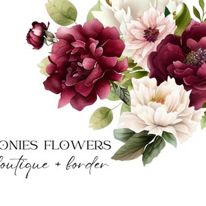 Clipart pivoine aquarelle, pivoines rouges et blanches, bouquets de pivoines, clipart floral pivoine, fleurs de pivoine