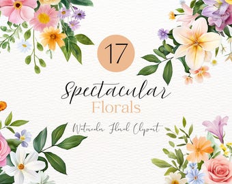 Watercolor Wild Spectacular Floral Clipart Wildflowers Floral Clipart Floral Border PNG Spring Flowers Summer Flowers Wild Flowers Clipart