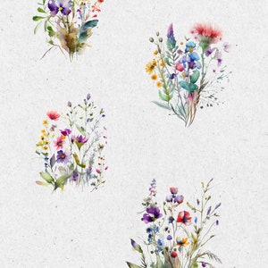 Wildflowers Floral Clipart Pack Wild Floral Clipart Premade - Etsy