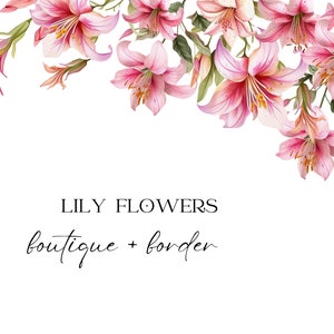 Clipart De Flores De Lírio Aquarela, Flores De Lírio Rosa, Clipart De Buquês De Flores Png, Molduras Pré-fabricadas De Casamento Floral, Boutique, Borda