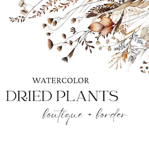 Aquarelles clipart plantes séchées, clipart floral sauvage, fleurs des prés, floral automne été, faire-part de mariage bohème, bordures prédéfinies