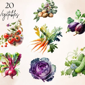 Lot de 20 cliparts aquarelle de légumes du jardin, lot de SVG de jardin de légumes inspirés vintage, clipart légumes, clipart légumes, marché de producteurs