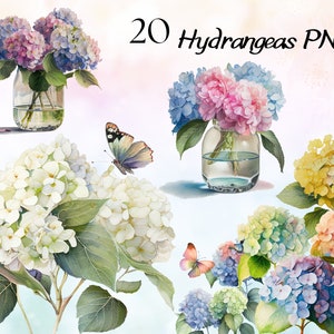 Watercolor Hydrangea Flowers Clipart Bundle, Blue Hydrangea Clipart, Vintage Hydrangea Clipart PNG, Hydrangea Art, Floral Clipart Bundle