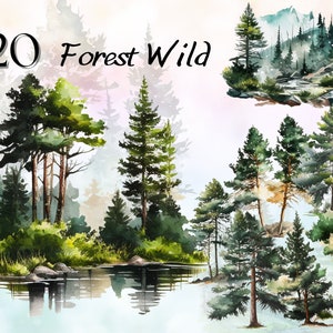 Puede incluir: Pintura acuarela de una escena de bosque con un lago y árboles. El título "20 Forest Wild" está escrito en negro en la parte superior de la imagen.