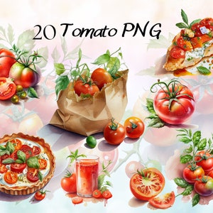 Bundle de cliparts aquarelle tomate, tomates PNG, clipart nourriture tomate, légume du jardin Clip Art, clipart légumes, sauces tomates PNG