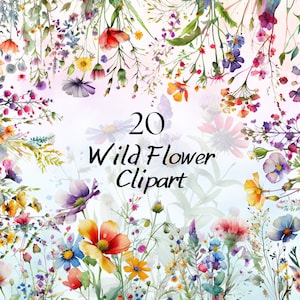 Aquarell Wildblumen Clipart, Aquarell Frühlingsblumen PNG, Blumen Clipart, Wildblumenstrauß, Wiesenblumen Floral Clipart Bundle
