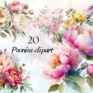 Aquarell Rosa Pfingstrose Clipart, weiße Pfingstrosen Clipart, Pfingstrose PNG, Pfingstrosen Blumenhochzeitseinladung, Aquarell Pfingstrose PNG