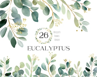 Aquarel eucalyptus bladeren clipart, eucalyptus douche groen clipart, groene bladeren clipart eucalyptus hoekrand clipart groen set