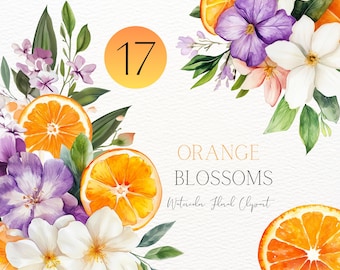 Watercolor Orange Blossom Flower Orange Clipart Watercolor Oranges png Orange Twig Clipart Citrus Wreath Watercolor Floral Clipart Digital