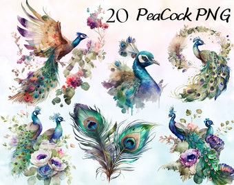 Watercolor Peacocks Clipart Bundle, Watercolor Peacock Bouquets,  White Peacock PNGs, Aquarelle Fantasy Peacock Feather Clipart PNG Graphic