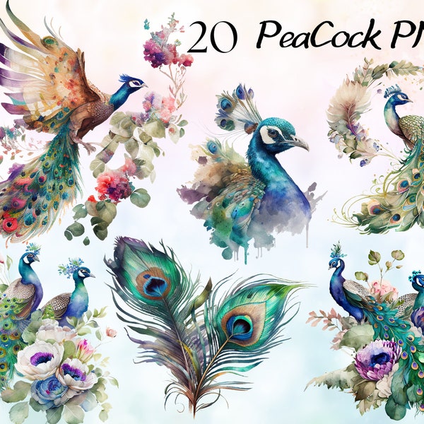 Watercolor Peacocks Clipart Bundle, Watercolor Peacock Bouquets,  White Peacock PNGs, Aquarelle Fantasy Peacock Feather Clipart PNG Graphic