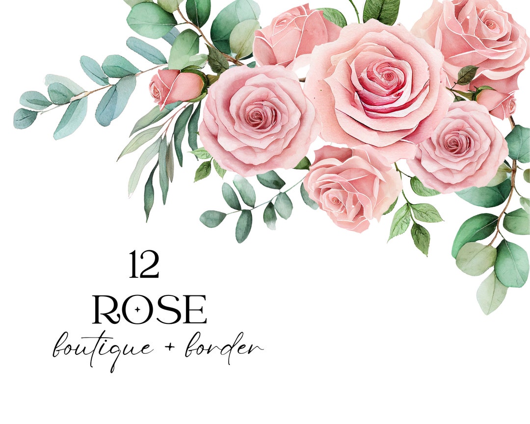Watercolor Roses Clipart, Light Pink Flower Clipart, Eucalyptus Clipart