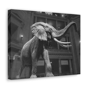 Elephant Statue, Museum of Natural History, Washington DC,