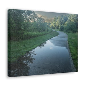 Bike Path, Northeast, Rainy Path, Nature, Nature Photography, Perspective