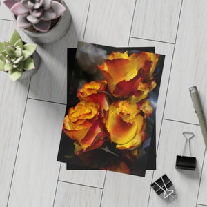 Rose Postcard, Flower Postcard, Autumn Colors Postcards, Fall Colors Postcards