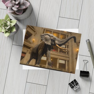 Elephant Postcard, Museum of Natural History, Washington DC, Animal Postcard