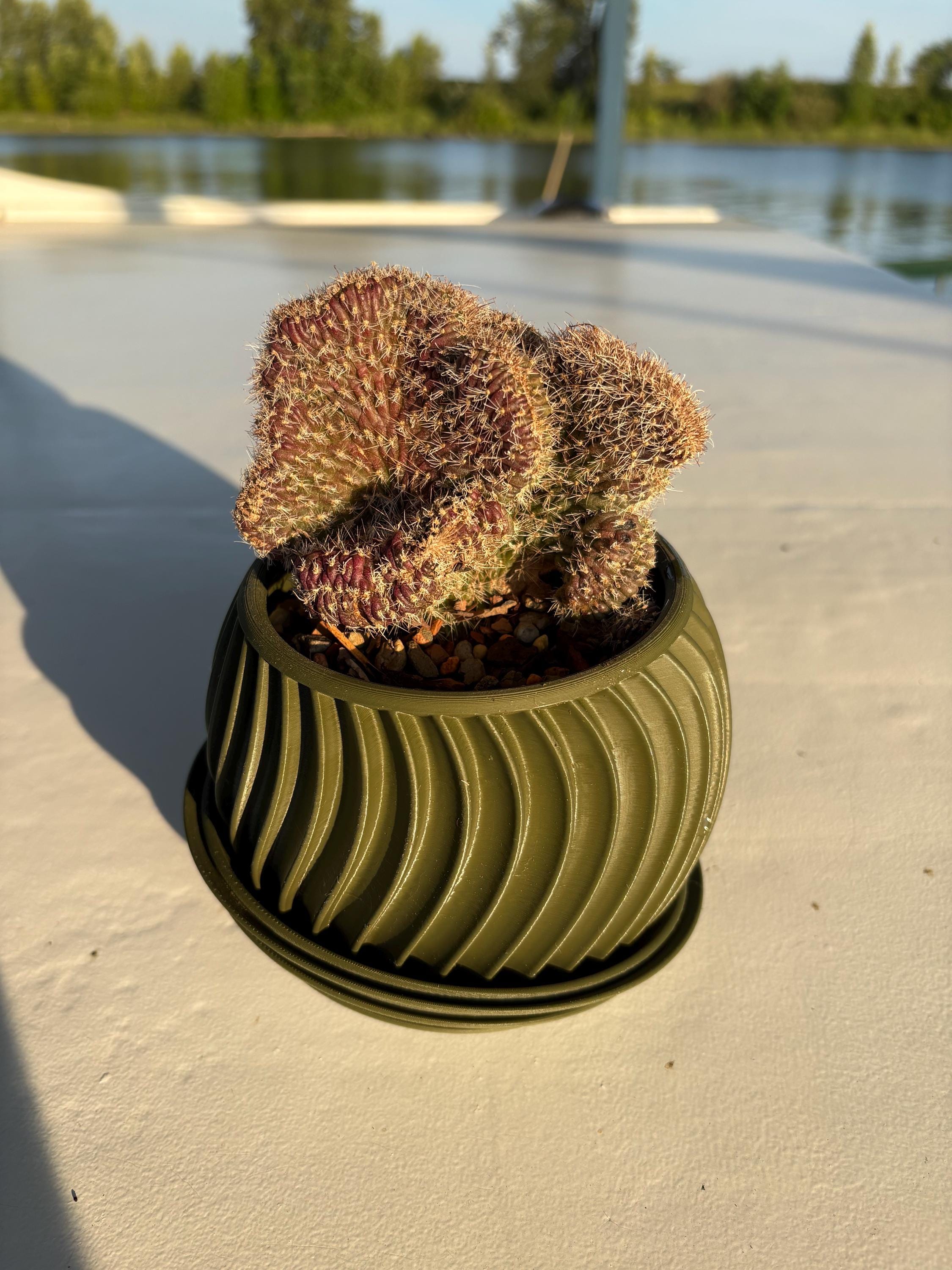 Jardinière Wave avec bac d'égouttage