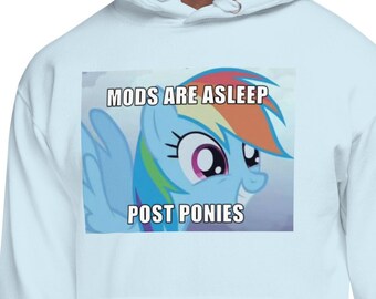 mijn kleine pony meme hoodie sweatshirt cadeau voor vriendje trui geschenkdoos voor vriendin (voor- en achterkant)