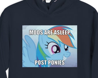 mijn kleine pony meme hoodie sweatshirt cadeau voor vriendje trui geschenkdoos voor vriendin (alleen voorkant)