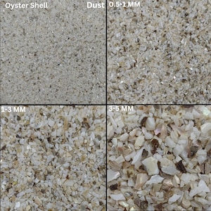 Pode incluir: Imagem de close-up de fragmentos de concha de ostra em vários tamanhos. A imagem mostra quatro seções, cada uma etiquetada com uma faixa de tamanho: Pó, 0,5-1 MM, 1-3 MM e 3-5 MM. A imagem é um guia visual útil para entender os diferentes tamanhos de fragmentos de concha de ostra.