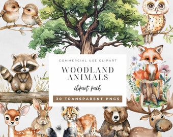 Woodland Animals Watercolor Clipart PNG Bundle Set Cute Forest Animals Nature Theme Baby Shower Birthday Graphic Element Nursery Decor Image