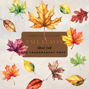 Fall Leaves Clipart Autumn Leaves Watercolor PNG Fall Foliage Graphics Fall Season Decor Digital Paper Craft Junk Journal Scrapbook Images