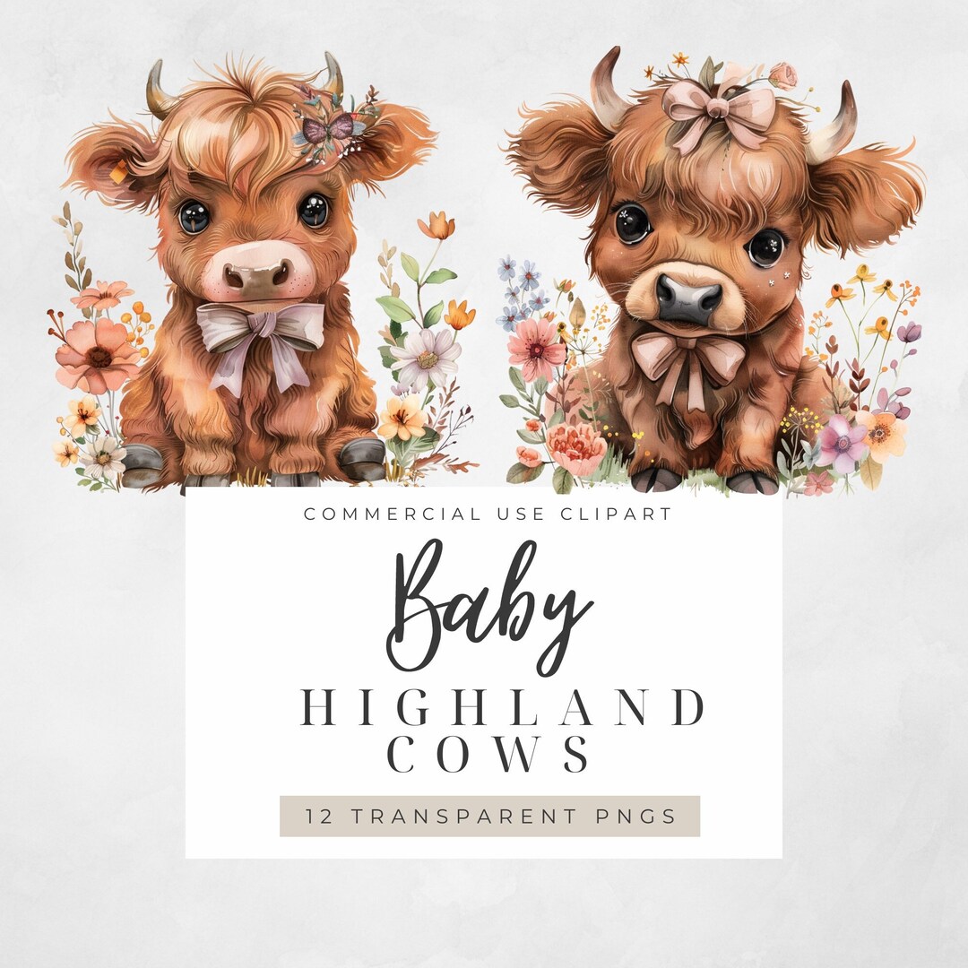 Baby Highland Cow PNG Bundle Set Floral Watercolor Transparent ...