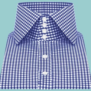 Puede incluir: Una camisa de botones azul y blanca a cuadros con un cuello alto y cinco botones en la parte delantera.