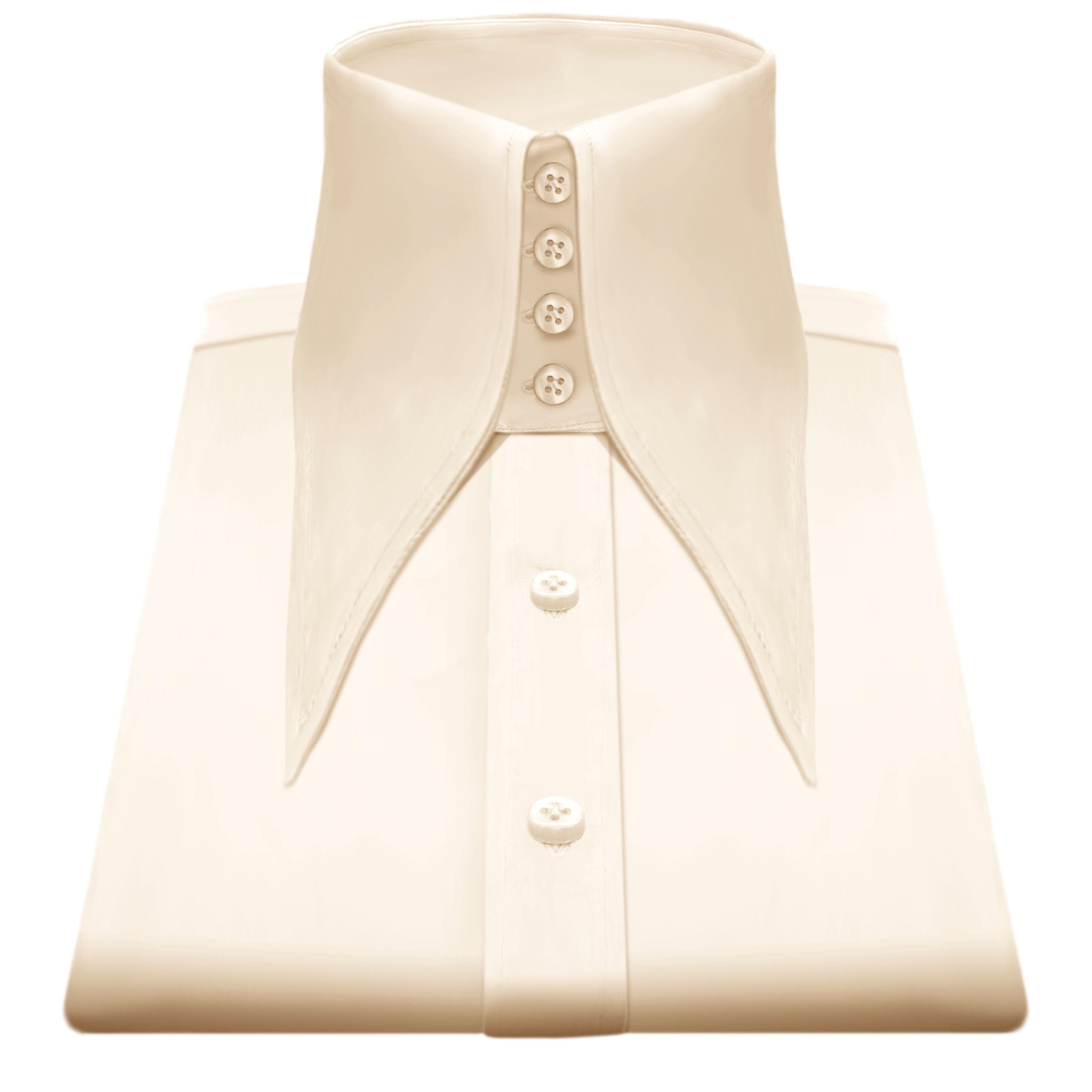 stiff collar dress shirt Washable Stiff Fronted Dress Shirt (SH2291) Darcy Clothing