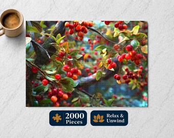 relax 37冊セット 2000~2003年多数 まとめ売り Nature's Offering - 2000 Piece Jigsaw Puzzle, Indoor Fun, Puzzle