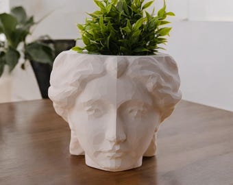 Roman goddess head planter, Uniquely designed female head shaped plant pot