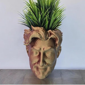 3D Printed Face Planter Pot | Unique Head-Shaped Indoor Planter | Funny Head Planter for Succulents & Small Plants