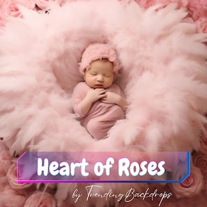 Newborn Digital Backdrop, Newborn digital background, Newborn Backdrop Newborn Digital Prop, Newborn Photo Prop, Pink Rose Newborn Composite