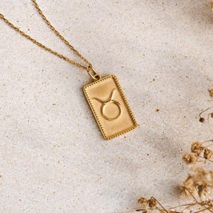 Taurus Zodiac Necklace: 14K Gold Plated Sterling Silver Horoscope Charm