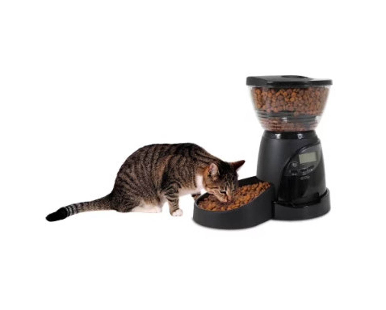 Aspen Pet Lebistro Programmable Food Dispenser Black Medium Etsy