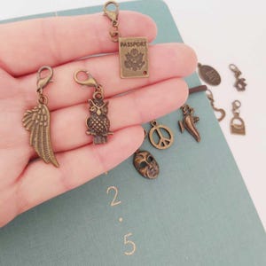 Può includere: Una collezione di 10 ciondoli in metallo color bronzo con vari disegni, tra cui un gufo, un segno di pace, un'ala, una maschera, un passaporto, una lampada del genio, un cuore e una chiave. I ciondoli sono attaccati a un clip argentato.