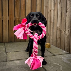May include: A black dog holding a pink and white braided dog toy. The toy has a braided center and pink fabric accents at each end. The dog is standing on a stone patio in front of a wooden fence.