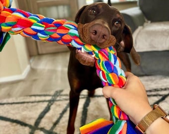 May include: A brown and black dog playing with a colorful braided rope toy. The toy is made of multiple colors of fabric, including red, orange, yellow, green, blue, and purple.