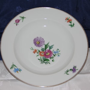 A hand painted plate with aster floral decoration, a high quality German porcelain soup bowl, marked for Hutschenreuther, Bavaria, Germany