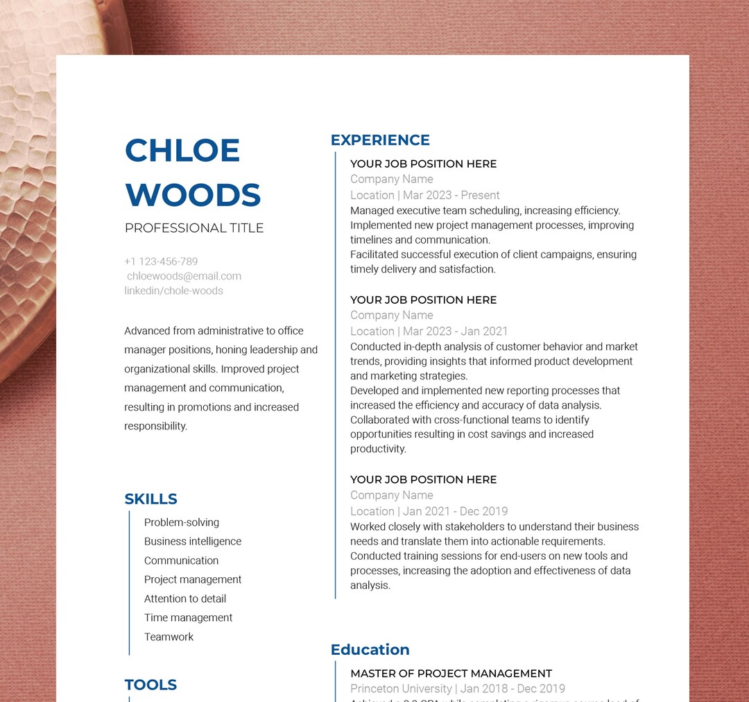 2023 Executive Resume | Digital Resume Template for Google Docs, Word ...