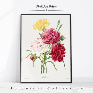 Carnation Watercolor Painting Botanical Wall Art Print Boho Floral Home Decor Mid Century Aesthetic Living Room Decor Digital Download|PA403