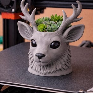 Puede incluir: Una maceta con forma de cabeza de ciervo gris con grandes ojos negros y cornamenta, llena de pequeñas suculentas verdes. La maceta tiene una superficie texturizada. Un artículo decorativo para la decoración del hogar.