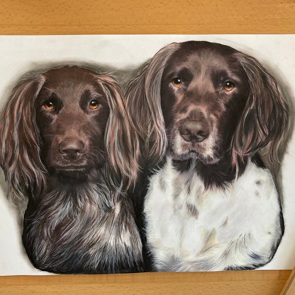 Portrait 2 - 3 Tiere bunt Kreide auf Papier