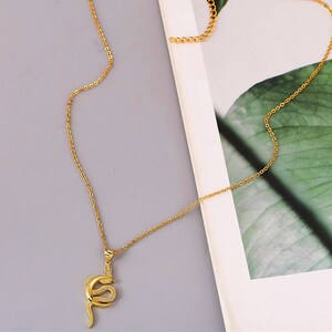 May include: A gold snake pendant necklace with a delicate chain. The snake is coiled and has a textured surface.